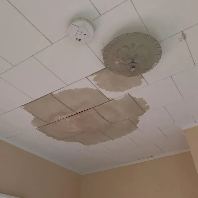 Ceiling Water Damage Repair in Mecklenburg County, VA