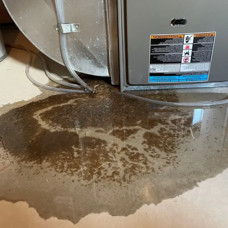 Pipe Burst and Leak Restoration in Mecklenburg County, VA