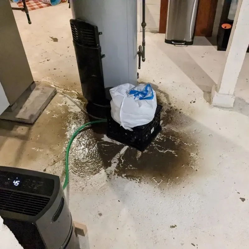 Sewage Backup Cleanup Service in Mecklenburg County, VA